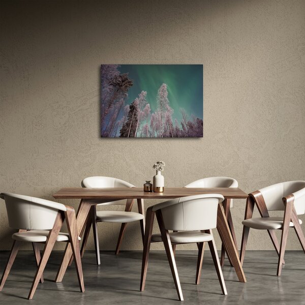 Tablou cu aurora borealis deasupra pomilor înghețați (70x50 cm)