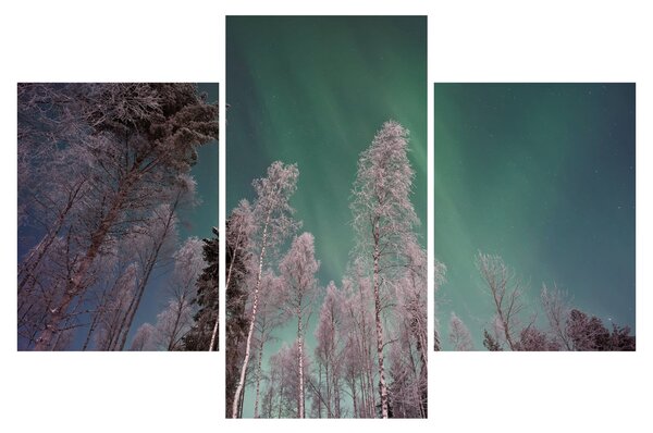 Tablou cu aurora borealis deasupra pomilor înghețați (90x60 cm)