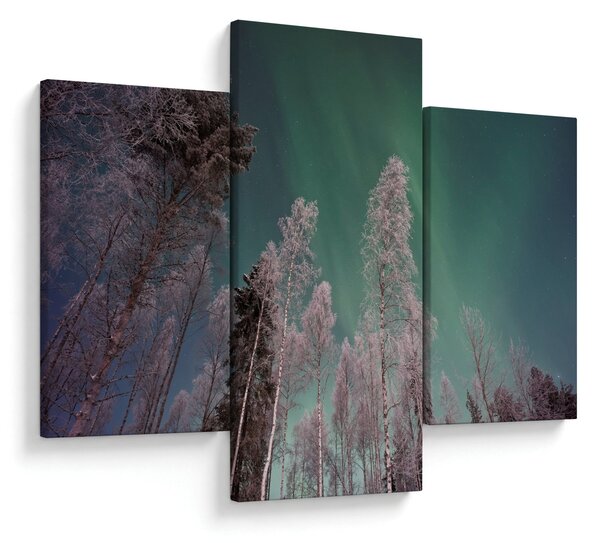 Tablou cu aurora borealis deasupra pomilor înghețați (90x60 cm)