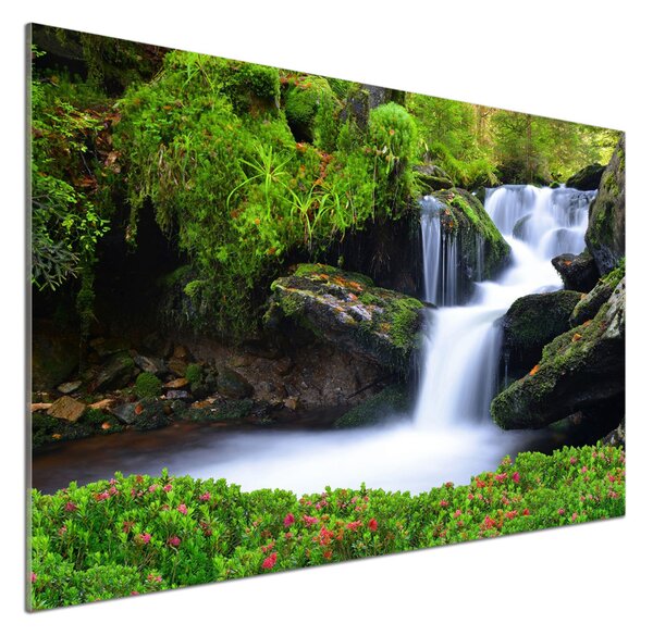 Sticlă pentru bucătărie Cascada din pădure