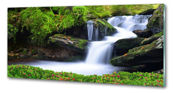 Sticlă pentru bucătărie Cascada din pădure
