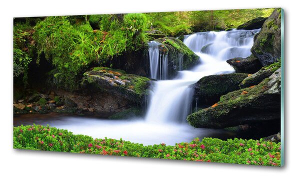 Sticlă pentru bucătărie Cascada din pădure