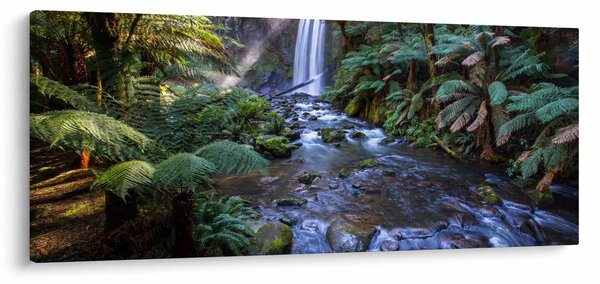 Tablou cu pădurea ploilor din Austalia (120x50 cm)
