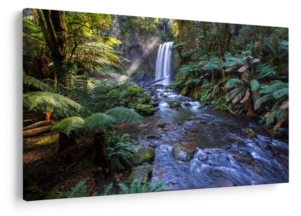 Tablou cu pădurea ploilor din Austalia (90x60 cm)