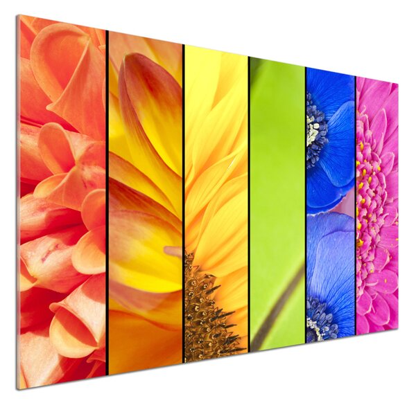 Panou sticlă decorativa bucătărie flori colorate
