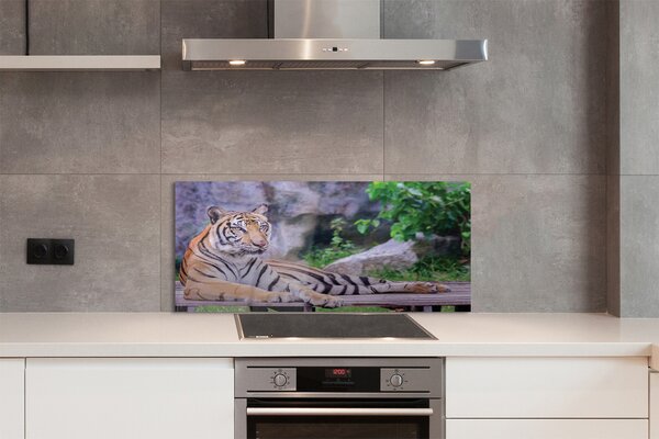 Panouri de sticlă Tiger într-o grădină zoologică