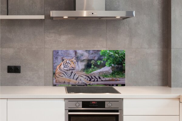Panouri de sticlă Tiger într-o grădină zoologică