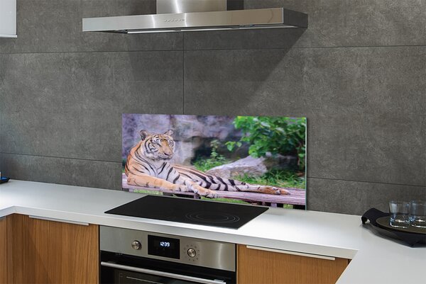 Panouri de sticlă Tiger într-o grădină zoologică