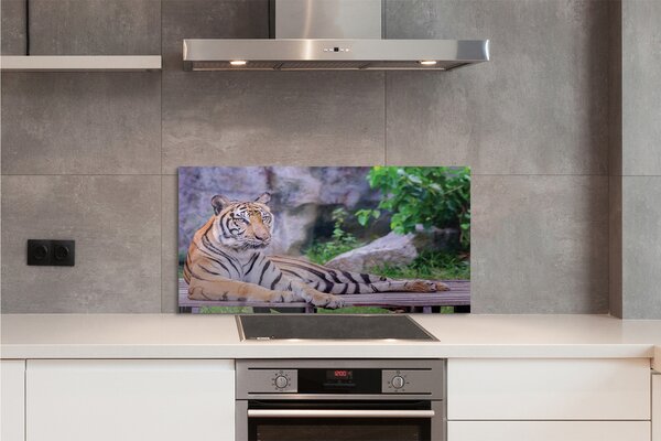 Panouri de sticlă Tiger într-o grădină zoologică