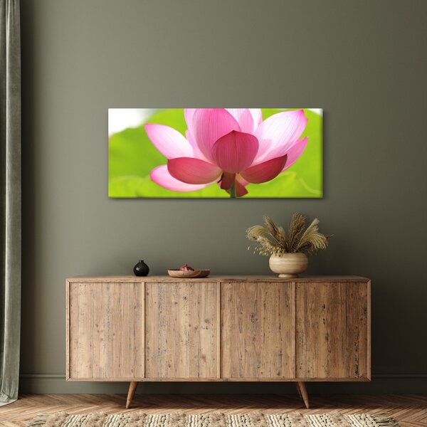 Tablou cu flori de lotus (120x50 cm)