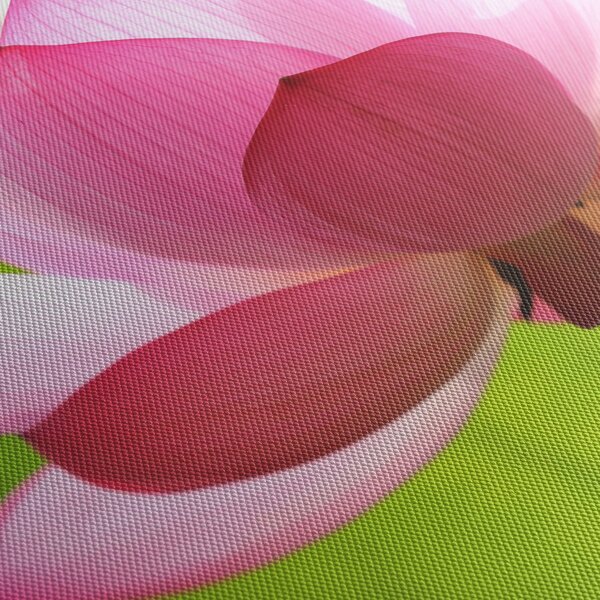 Tablou cu flori de lotus (120x50 cm)