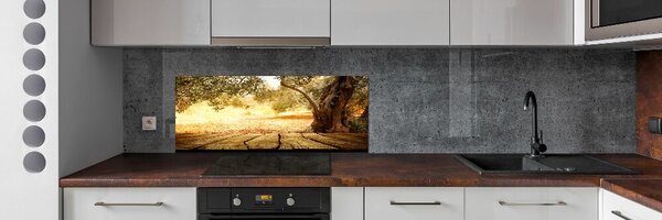 Panou sticla securizata bucatarie oliv