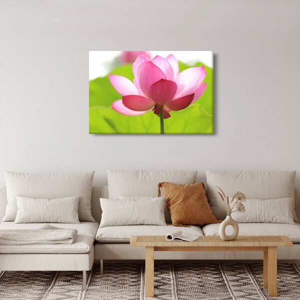 Tablou cu flori de lotus (90x60 cm)