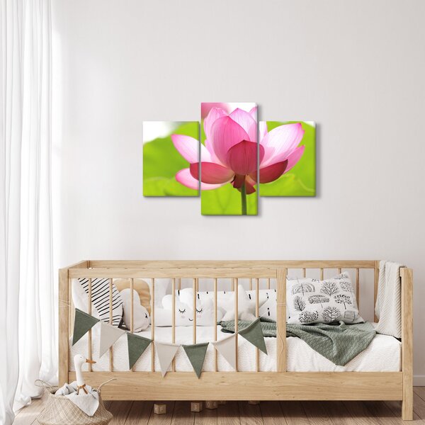 Tablou cu flori de lotus (90x60 cm)