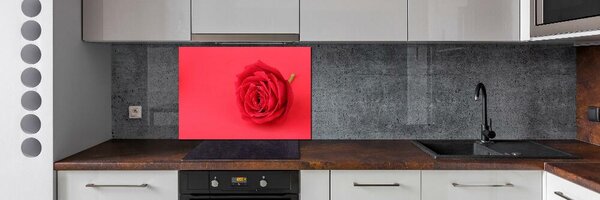 Panou sticlă decorativa bucătărie Trandafir roșu