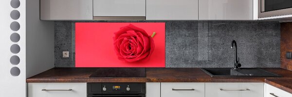 Panou sticlă decorativa bucătărie Trandafir roșu