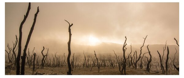 Tablou - Copaci goi (120x50 cm)