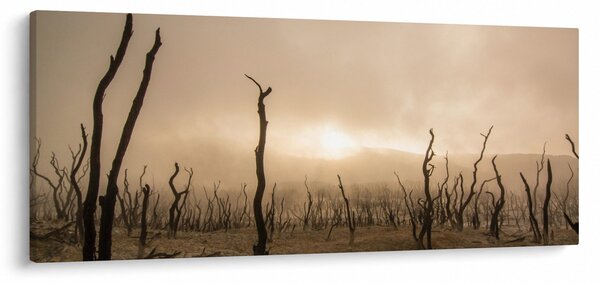 Tablou - Copaci goi (120x50 cm)