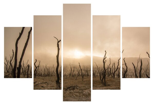 Tablou - Copaci goi (150x105 cm)