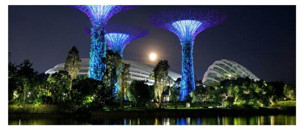 Tablou cu lună plină în grădinile din Singapur (120x50 cm)