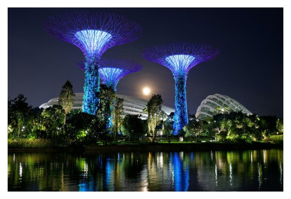 Tablou cu lună plină în grădinile din Singapur (90x60 cm)