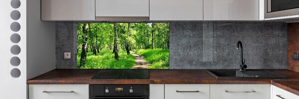 Sticlă printata bucătărie pădurea de mesteacăn