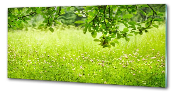 Panou sticla securizata bucatarie pajiște verde