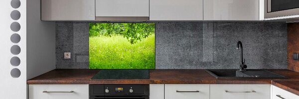 Panou sticla securizata bucatarie pajiște verde