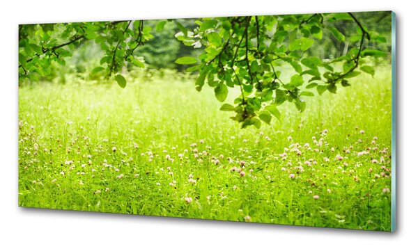 Panou sticla securizata bucatarie pajiște verde