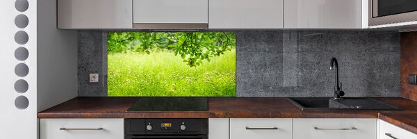 Panou sticla securizata bucatarie pajiște verde