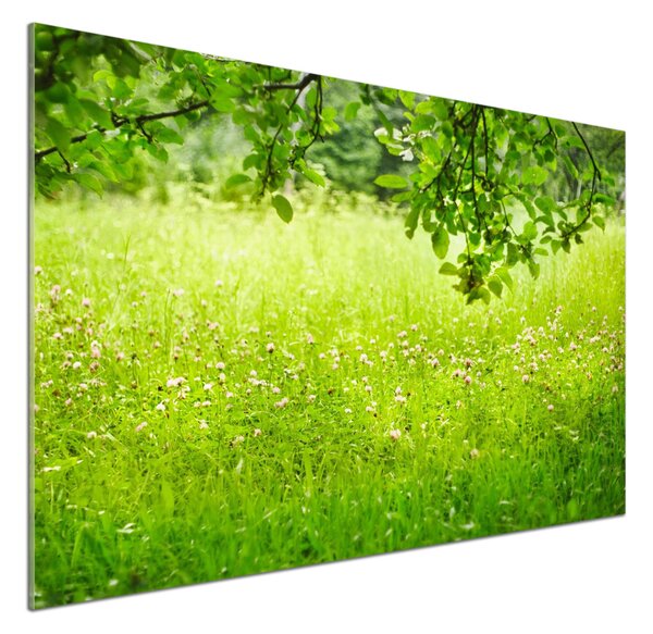 Panou sticla securizata bucatarie pajiște verde
