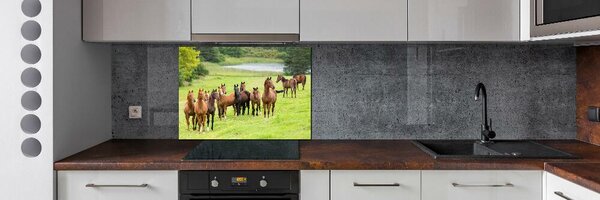 Panou sticla securizata bucatarie Herghelie de cai în lunca