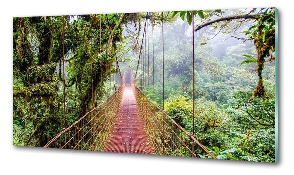 Panou sticla securizata bucatarie Bridge în tropice