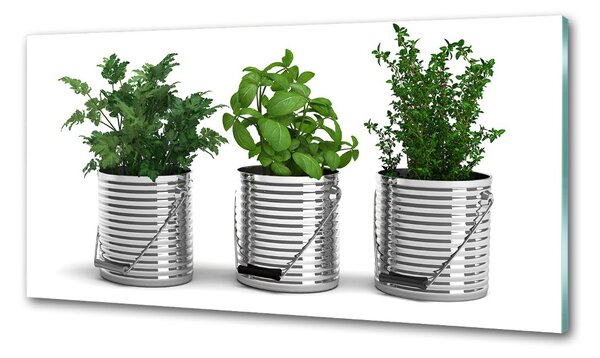 Panou sticla securizata bucatarie plante aromatice