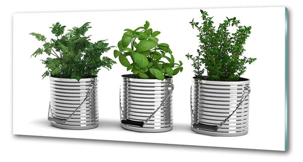 Panou sticla securizata bucatarie plante aromatice