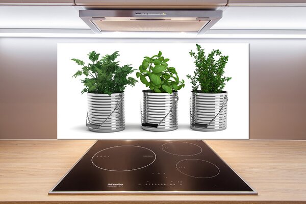 Panou sticla securizata bucatarie plante aromatice