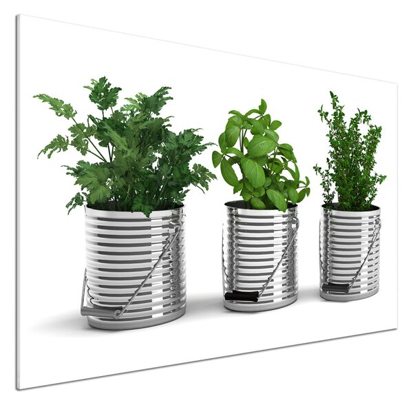Panou sticla securizata bucatarie plante aromatice