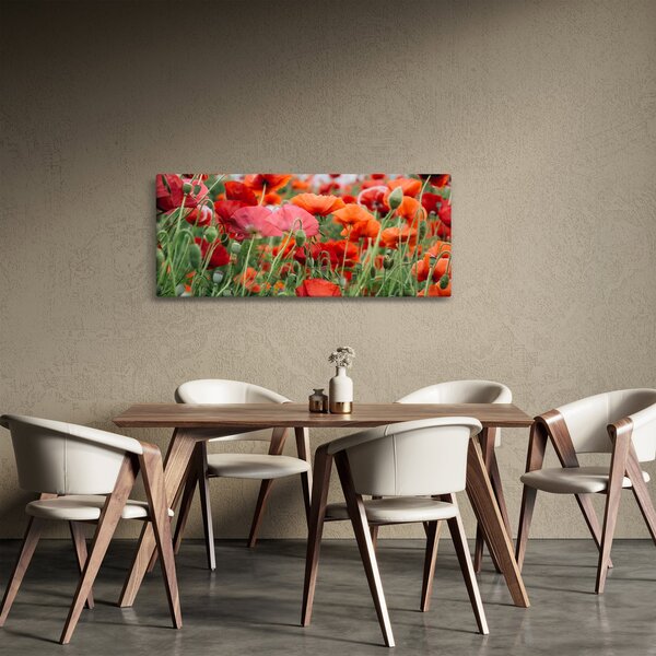 Tablou din câmp cu maci (120x50 cm)