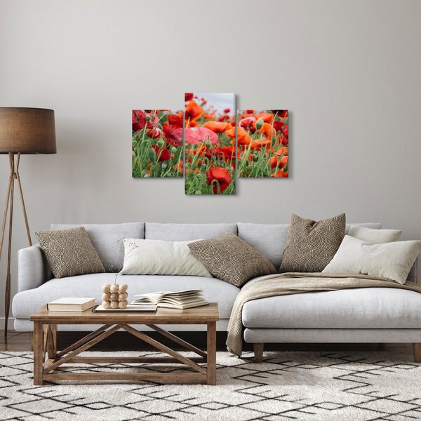 Tablou din câmp cu maci (90x60 cm)