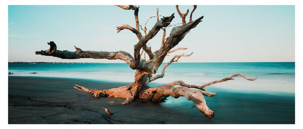 Tablou - Debarcare pe plaja (120x50 cm)