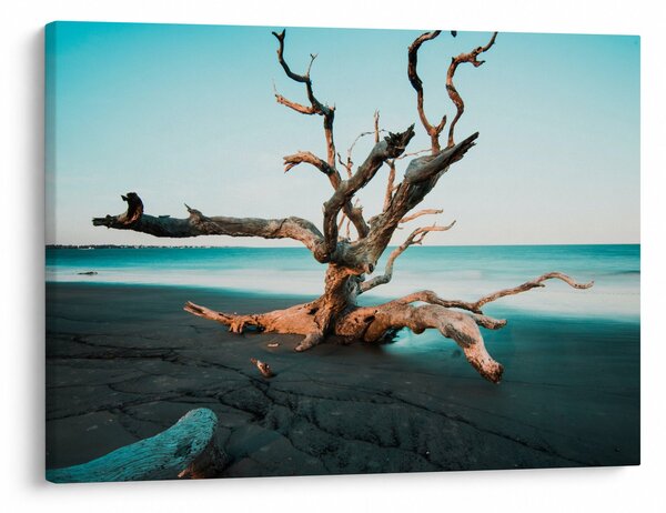 Tablou - Debarcare pe plaja (70x50 cm)