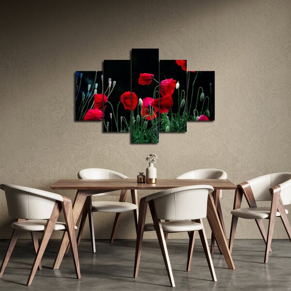 Tablou - Dansul macilor (150x105 cm)