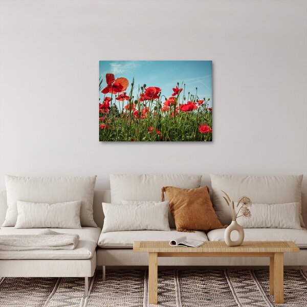 Tablou - Pe câmpul cu maci (70x50 cm)