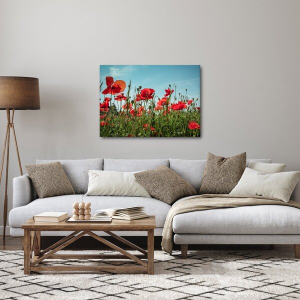 Tablou - Pe câmpul cu maci (70x50 cm)