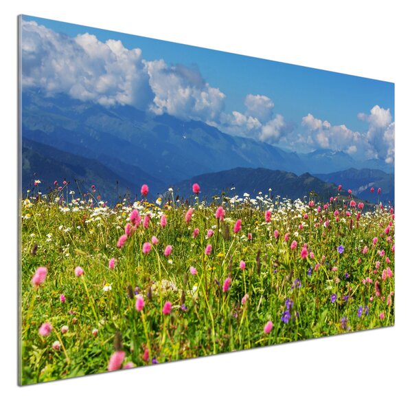 Sticlă bucătărie Meadow în munți