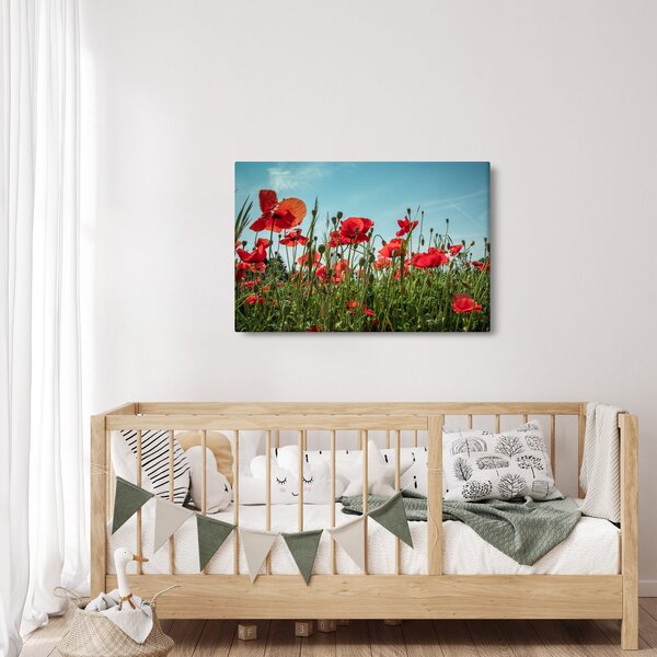 Tablou - Pe câmpul cu maci (90x60 cm)