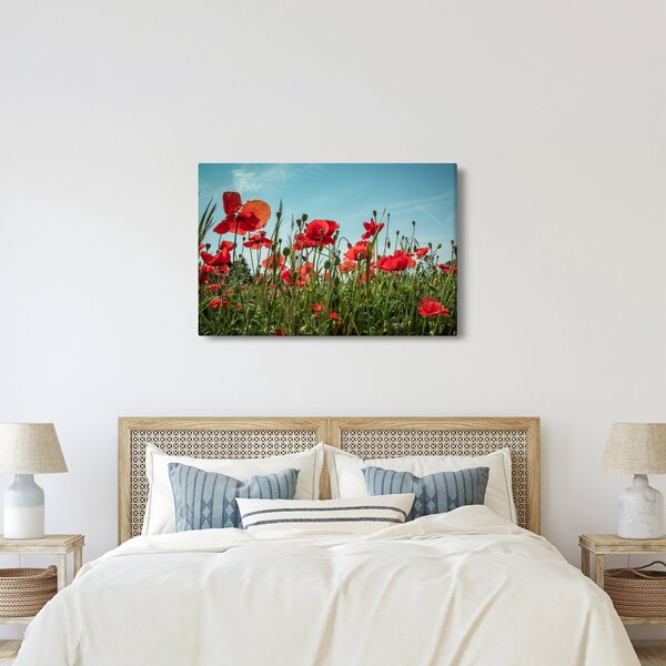 Tablou - Pe câmpul cu maci (90x60 cm)