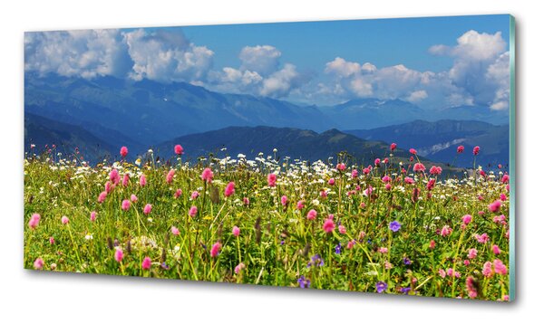 Sticlă bucătărie Meadow în munți
