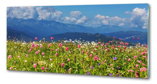 Sticlă bucătărie Meadow în munți