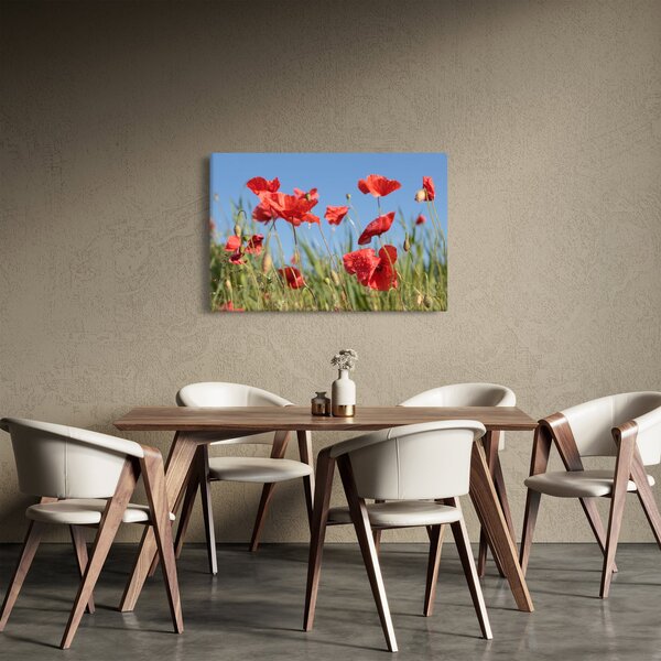 Tablou - Maci (90x60 cm)